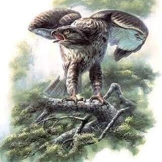 KAbdallatifkuku's profile picture. 