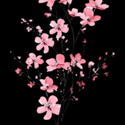 Emille858338912's profile picture. Amo kpop!
Amo  Pop!
fã da arte musical e memes da internet.