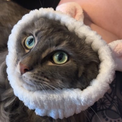 xplsdo's profile picture. .