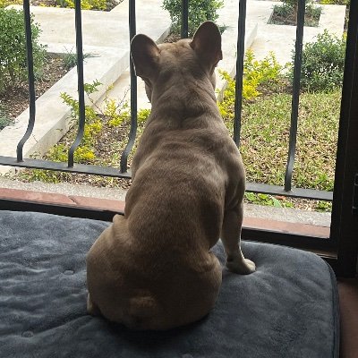 DaniloJSoto's profile picture. 