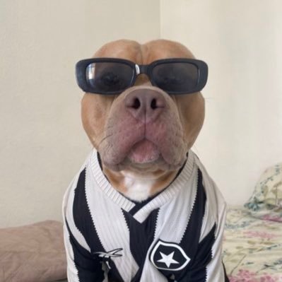 Mor4ess_01's profile picture. 