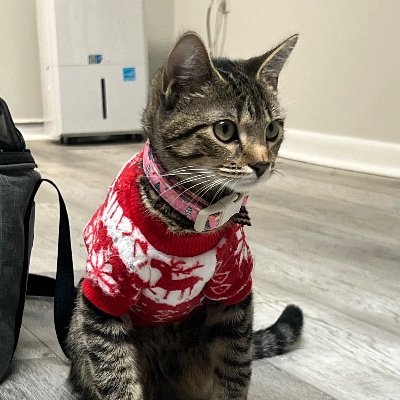 _SethVNGZ_'s profile picture. @whoisjaclyn_ ❤️ | YouTube Partner | @funaimers