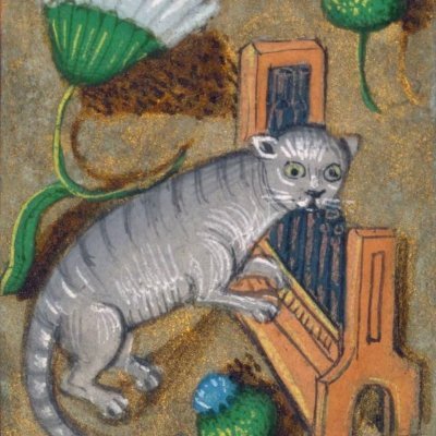 azafrandenuevo's profile picture. doing my best 
(cuenta inactiva hasta nuevo aviso)