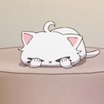 kimachidan's profile picture. big fan 🍻📿⛩️🐶🎫💿 (+many)