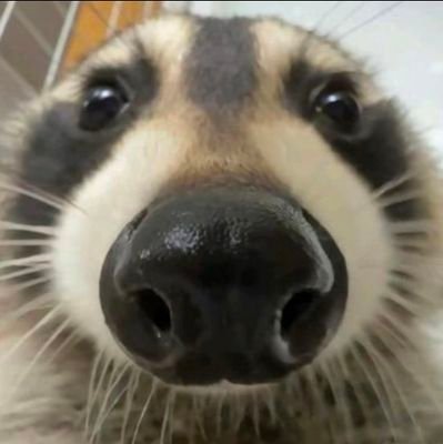 SuaraHatiLimbad's profile picture. 21↑ || INTP || random