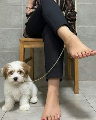 Jorj1383696's profile picture. اذا انت سالب ديوث ادخلي خاص