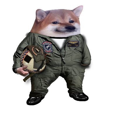 SpockNC's profile picture. Certified North American Beaverhound trainer. Vaxxed & boosted with laser eyes superpower! Fly Marines! https://t.co/fnnTgxdCz6