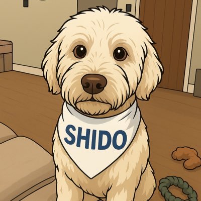 craigrich8's profile picture. $SHIDO