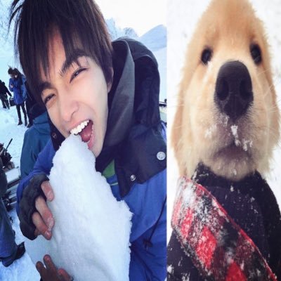 prihknowsaurus's profile picture. 