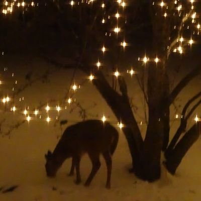 EvaNeofoti39253's profile picture. 