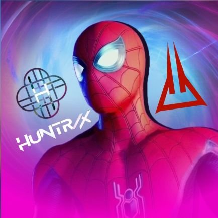 MCUSpiderManFN's profile picture. 