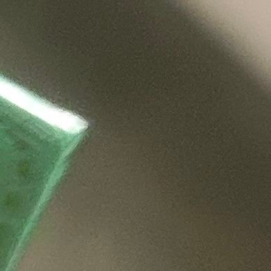 OsoDjj97016's profile picture. 