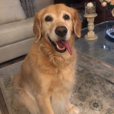 CalabroTom's profile picture. 