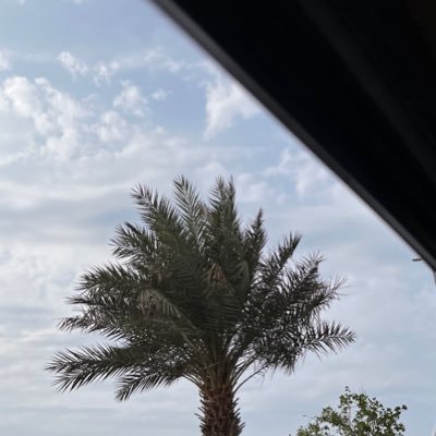 AljhnyBdal20076's profile picture. 