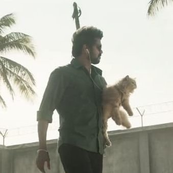 suryaaaahhh's profile picture. 