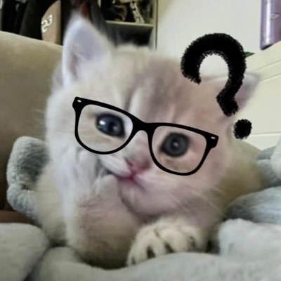 xievenn's profile picture. sa willca parin uuwi (siguro)