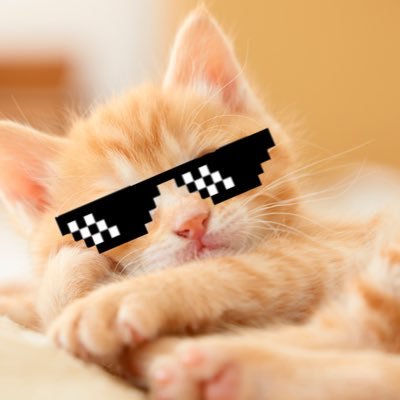 mxyfv7's profile picture. 15 FA👑@RazlwKey @mxrxmfv PR20000🔰 competitive 半年