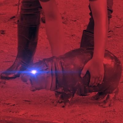 FarooqKenyan's profile picture. It's very terrible to fall into the hands of the living God. Hebrews 10;31.Chosen Trump is my godfather. All Eyez Me On. Dr. @HEBABUOWINO,The 6th 🇰🇪 President