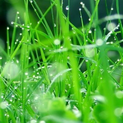 ashish_tompe's profile picture. 