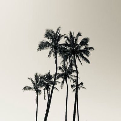 7nnn89's profile picture. 