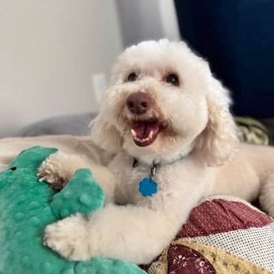 MrhughLthebest's profile picture. Artist 🎨 Of one thing I’m perfectly sure: “God's story never ends with ashes.” - Elisabeth Elliot. Admire @hughlaurie ❤️🐩Mozart