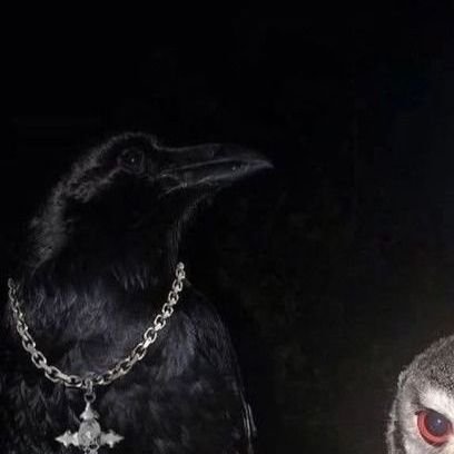 HugoSilva193767's profile picture. corvo