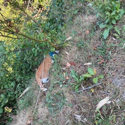 DannyA49708's profile picture. 