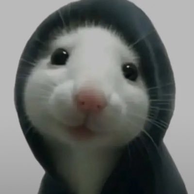 PGnaf54573's profile picture. 