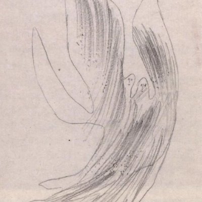 Loozrrrrrpedal's profile picture. 🇵🇸🤍🇵🇱 || 

꩜ autistic ||
꩜ inspo: JesterPepita, littleguns, ted/clownbonito 
꩜ || @Loosrpedalalt