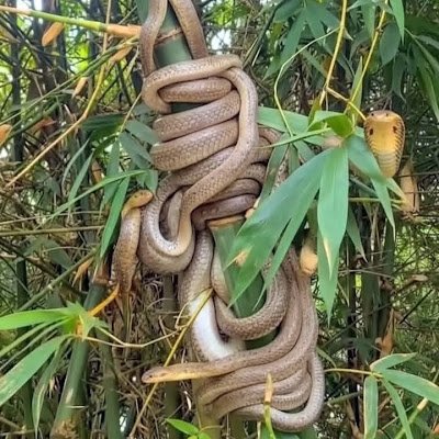 SzvsuDCIrw30879's profile picture. 