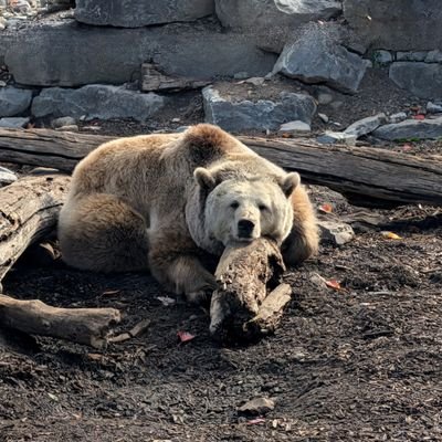 Doogie85's profile picture. My filter is clogged