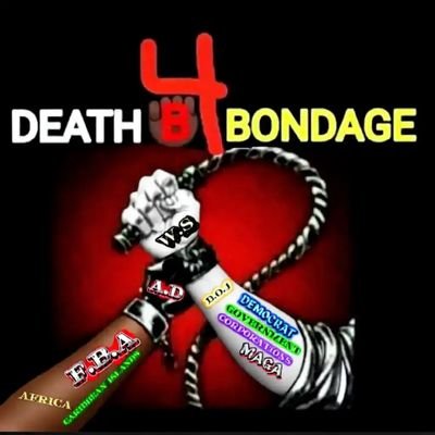 DB4bondage's profile picture. FBA FOUNDATIONAL 
BLACK   🇺🇲MERICANS✊🏿✊🏾✊🏽✊🏼

i stand on the shoulders of GIANTS 
 Revolutionaries & FREEDOM FIGHTERS 🫡 FAMILY