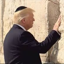 jareernoid's profile picture. 