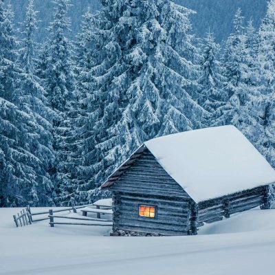 N's profile picture. 