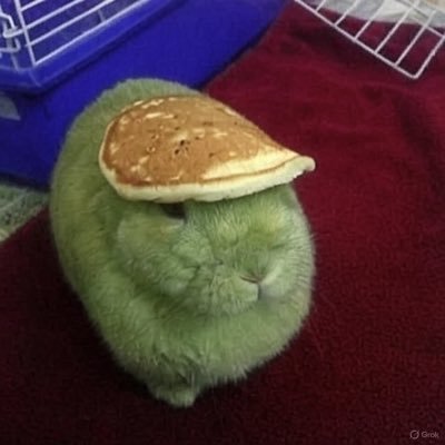 coskicrypto's profile picture. Christ is King