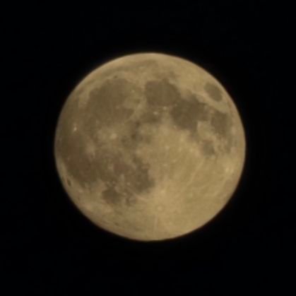 soopskrypton's profile picture. 