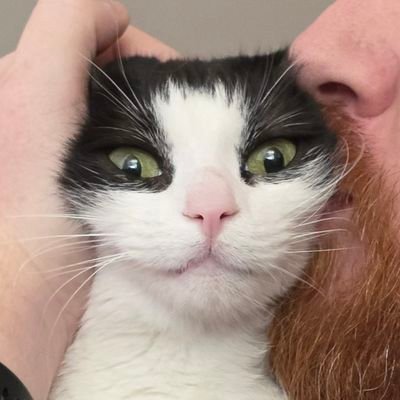 Sim_nell's profile picture. Living on my own terms🎮📸🐈💭 #ShotsWithBoozer