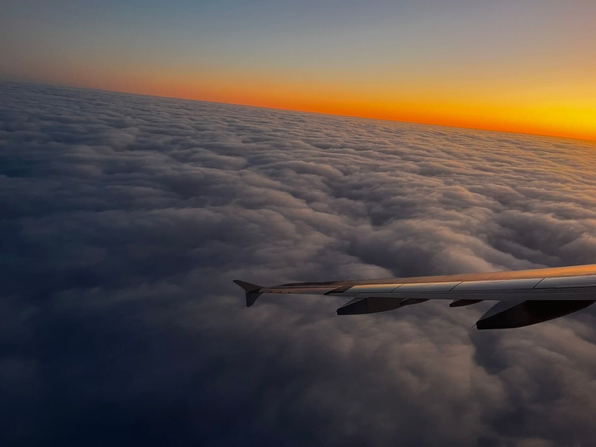 scepticalxd's profile picture. 