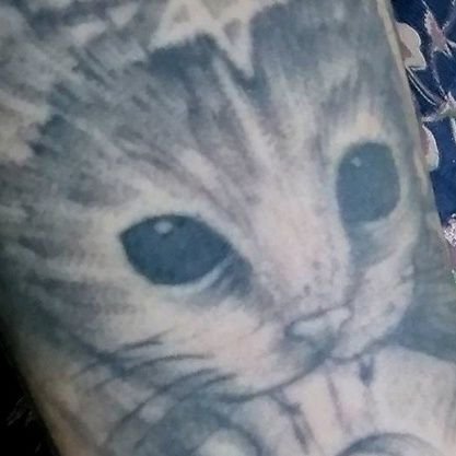 Alx_npm's profile picture. ⠀-♡⠀I'm not a minor, I have hair on my ass 'Spanish/English' ' 🇳🇮' ⠀⠀ ⠀⠀⠀⠀⠀⠀⠀⠀ ⠀⠀⠀⠀⠀⠀⠀⠀ ⠀⠀⠀⠀⠀⠀⠀⠀ ⠀⠀⠀⠀⠀⠀⠀⠀ ⠀⠀⠀⠀⠀⠀⠀⠀ ⠀⠀⠀⠀⠀⠀⠀⠀ ⠀

#shadowfaerie