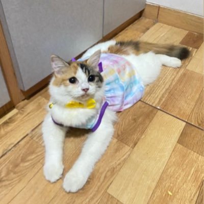 Tiraaa_F's profile picture. 