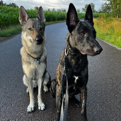 AndyUrbach2025's profile picture. 