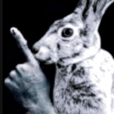 v4r1x1's profile picture. so uh I just exist basically