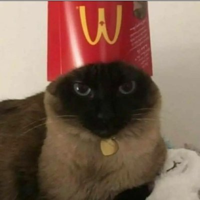 Lucaalooo's profile picture. haloo im lukas :3
uhh i like kat
i do draw tho its kinda dum dum
im 18 
something something :p