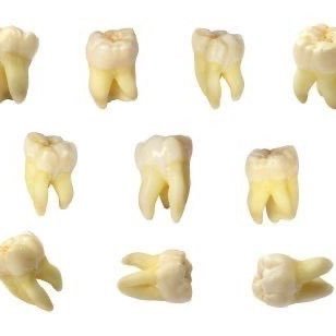 shedtwt_les's profile picture. ||bi??||she/her|| shedtwt|| niya&ken||pro-reco||current sh recovery💔