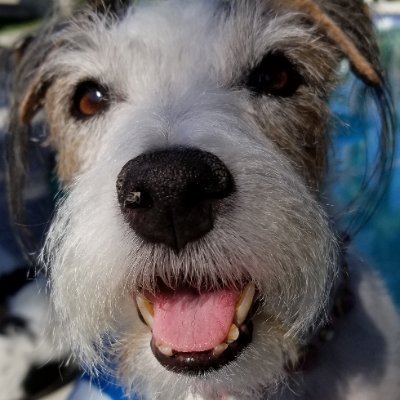 Lyndeelouu's profile picture. Married woman, self-employed. 
Things I know to be true for me:
Nothing is perfect,
Nothing lasts forever,
The older I get, the faster time seems to pass.