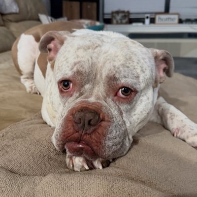 luned02's profile picture. 