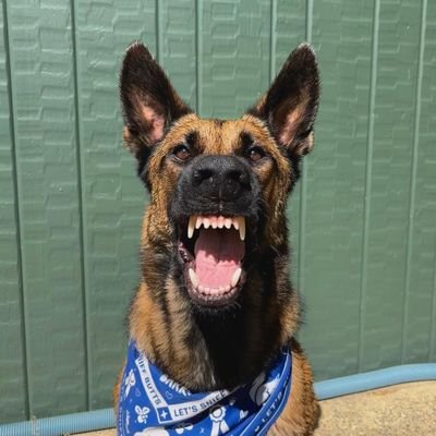 bbqgoddess's profile picture. Dragon Believer
It's not a good morning unless you're fishing 🎣 🚫DM's