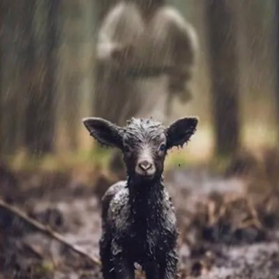 TPUSA_DFW's profile picture. Christian Wife Mother Gigi I love God and I believe in Jesus READ YOUR BIBLE little lamb!🐑