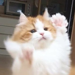 itsdayone_'s profile picture. 