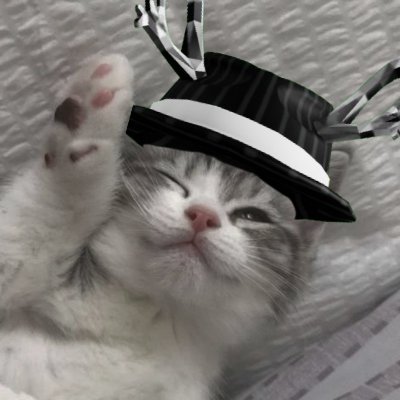 kalentheeditor's profile picture. Editor and a Content Creator 💸
🔗 Interested? DM me!